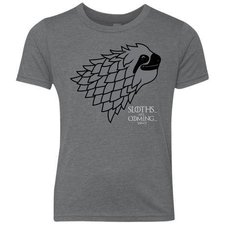 T-Shirts Premium Heather / YXS Sloths.. are.. co.. Youth Triblend T-Shirt