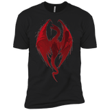 T-Shirts Black / YXS Smaug's Bane Boys Premium T-Shirt