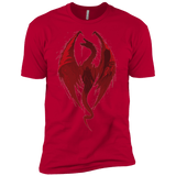 T-Shirts Red / YXS Smaug's Bane Boys Premium T-Shirt