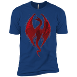 T-Shirts Royal / YXS Smaug's Bane Boys Premium T-Shirt