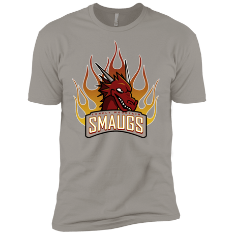 T-Shirts Light Grey / YXS Smaugs Boys Premium T-Shirt