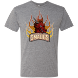 T-Shirts Premium Heather / Small Smaugs Men's Triblend T-Shirt