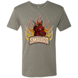 T-Shirts Venetian Grey / Small Smaugs Men's Triblend T-Shirt