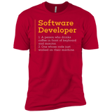 T-Shirts Red / YXS Software Developer Boys Premium T-Shirt