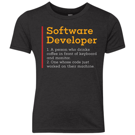 T-Shirts Vintage Black / YXS Software Developer Youth Triblend T-Shirt