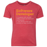 T-Shirts Vintage Red / YXS Software Developer Youth Triblend T-Shirt