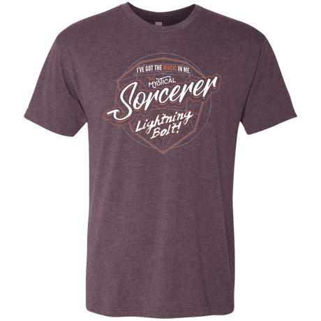 T-Shirts Vintage Purple / S Sorcerer Men's Triblend T-Shirt
