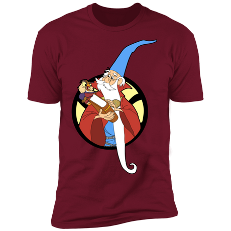 T-Shirts Cardinal / S Sorceror Supreme Men's Premium T-Shirt