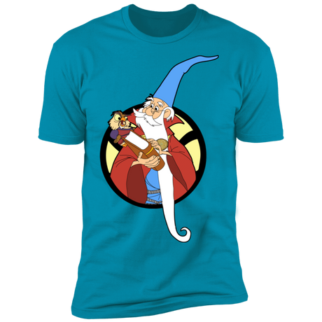 T-Shirts Turquoise / S Sorceror Supreme Men's Premium T-Shirt