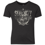 T-Shirts Vintage Black / YXS Space Pioneers Youth Triblend T-Shirt