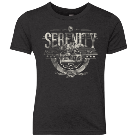 T-Shirts Vintage Black / YXS Space Pioneers Youth Triblend T-Shirt