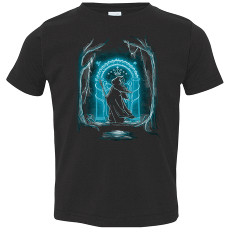 T-Shirts Black / 2T Speak Friend and Enter Toddler Premium T-Shirt