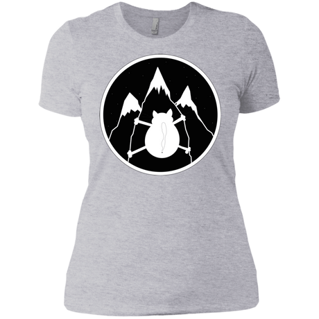 T-Shirts Heather Grey / X-Small Spider Cat Women's Premium T-Shirt