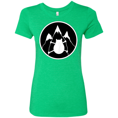 T-Shirts Envy / S Spider Cat Women's Triblend T-Shirt