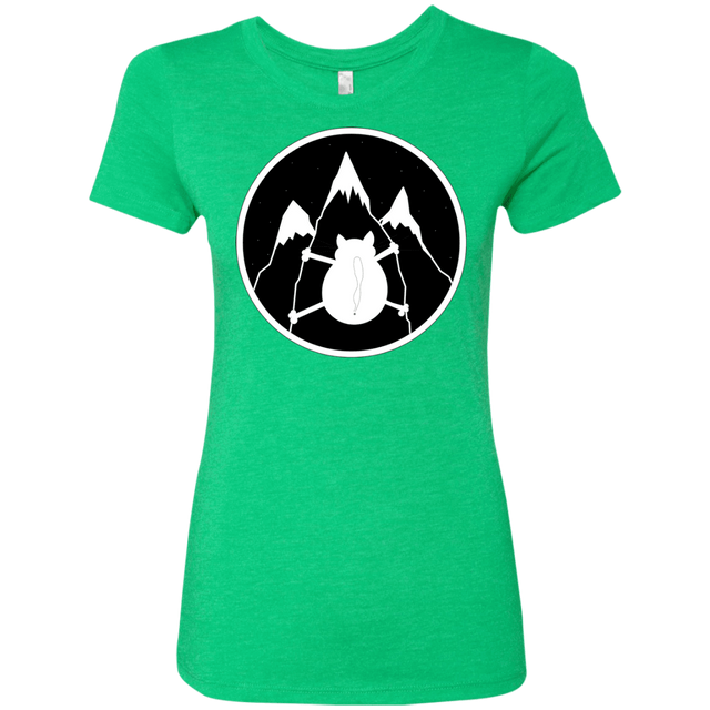 T-Shirts Envy / S Spider Cat Women's Triblend T-Shirt