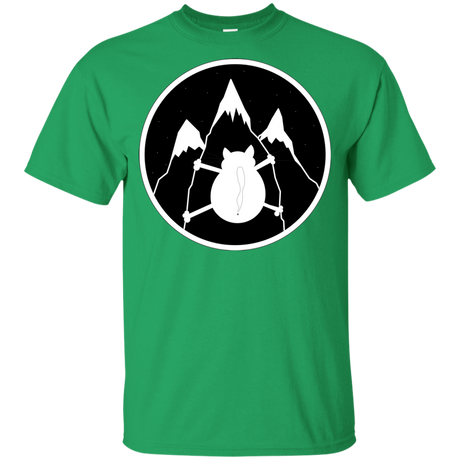 T-Shirts Irish Green / YXS Spider Cat Youth T-Shirt