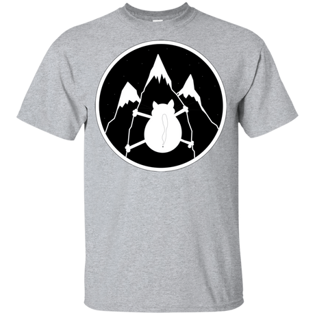 T-Shirts Sport Grey / YXS Spider Cat Youth T-Shirt