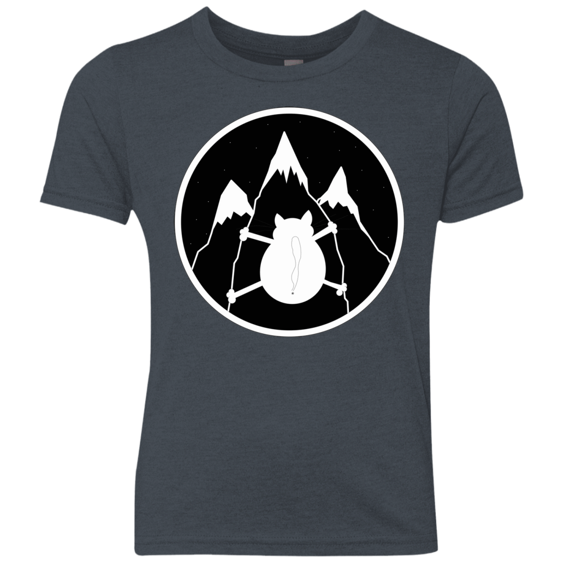 Spider Cat Youth Triblend T-Shirt