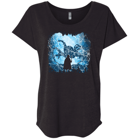 T-Shirts Vintage Black / X-Small Spiders Lair Triblend Dolman Sleeve