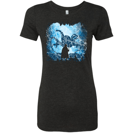 T-Shirts Vintage Black / S Spiders Lair Women's Triblend T-Shirt