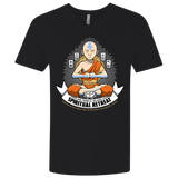 T-Shirts Black / X-Small SPIRITUAL RETREATT Men's Premium V-Neck