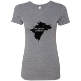 T-Shirts Premium Heather / Small Splinter is Coming Women's Triblend T-Shirt