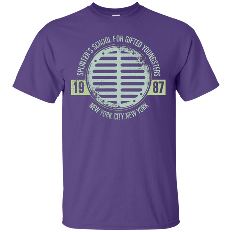 T-Shirts Purple / Small Splinters School T-Shirt