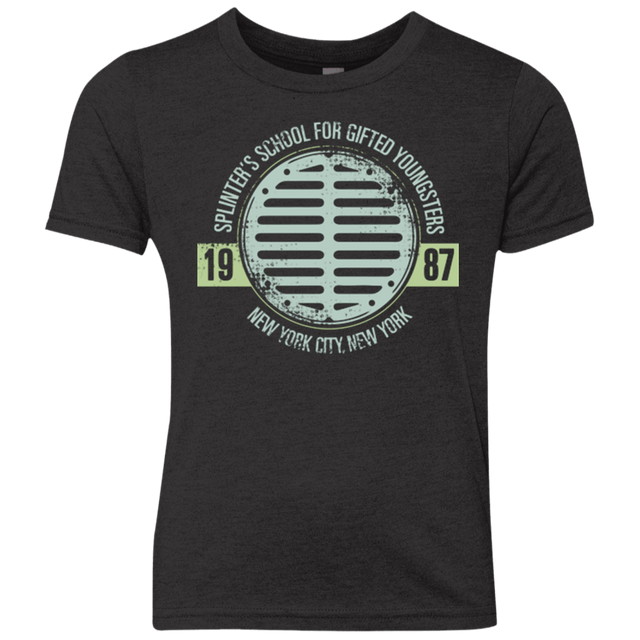 T-Shirts Vintage Black / YXS Splinters School Youth Triblend T-Shirt