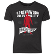 T-Shirts Vintage Black / YXS Springwood University Youth Triblend T-Shirt