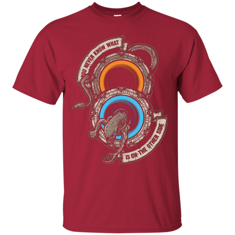 T-Shirts Cardinal / Small STAR PORTALS T-Shirt