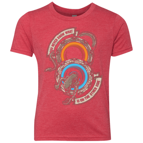 T-Shirts Vintage Red / YXS STAR PORTALS Youth Triblend T-Shirt