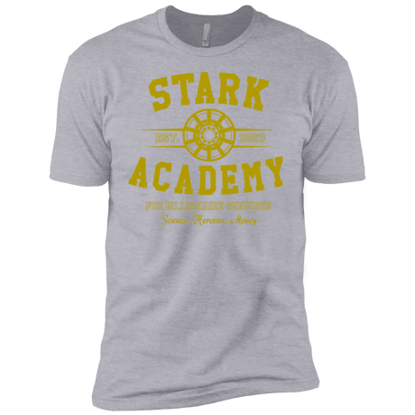 T-Shirts Heather Grey / YXS Stark Academy Boys Premium T-Shirt