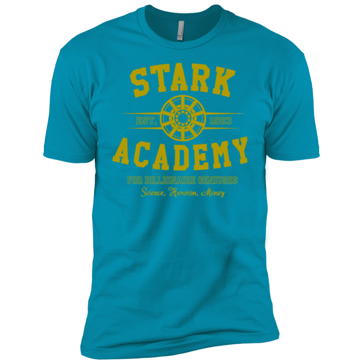 T-Shirts Turquoise / YXS Stark Academy Boys Premium T-Shirt