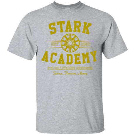 T-Shirts Sport Grey / Small Stark Academy T-Shirt
