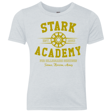 T-Shirts Heather White / YXS Stark Academy Youth Triblend T-Shirt
