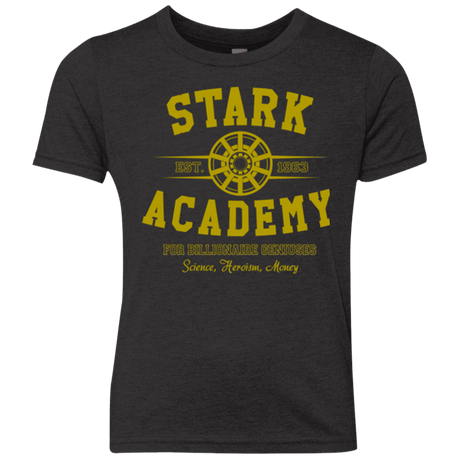 T-Shirts Vintage Black / YXS Stark Academy Youth Triblend T-Shirt