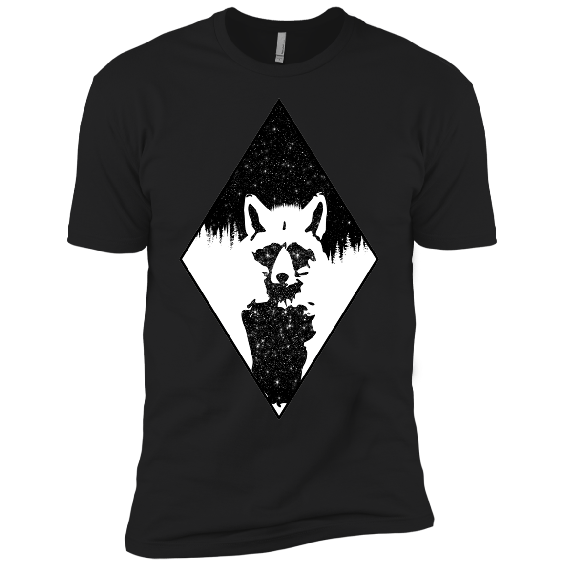 Starry Raccoon Boys Premium T-Shirt
