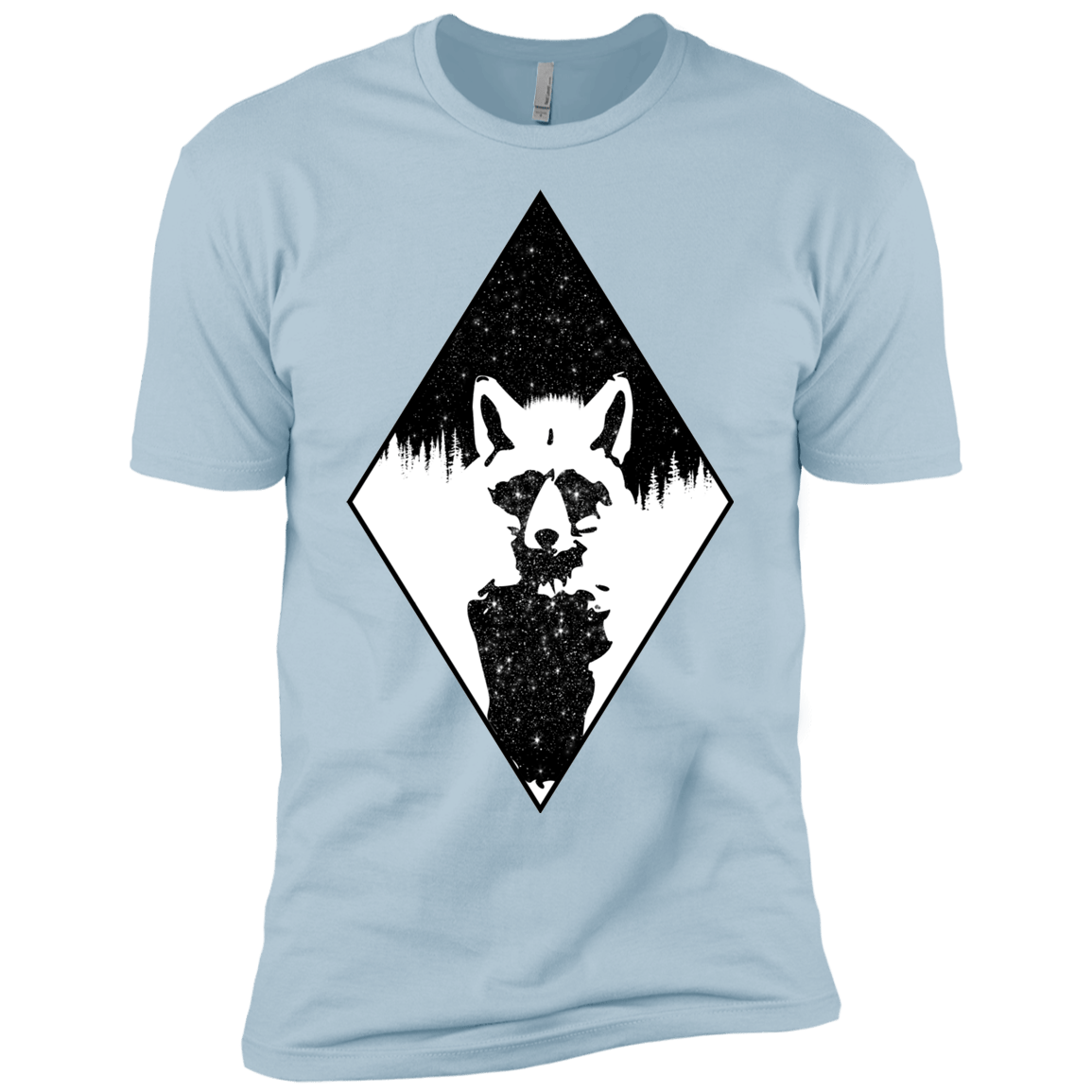 Starry Raccoon Boys Premium T-Shirt