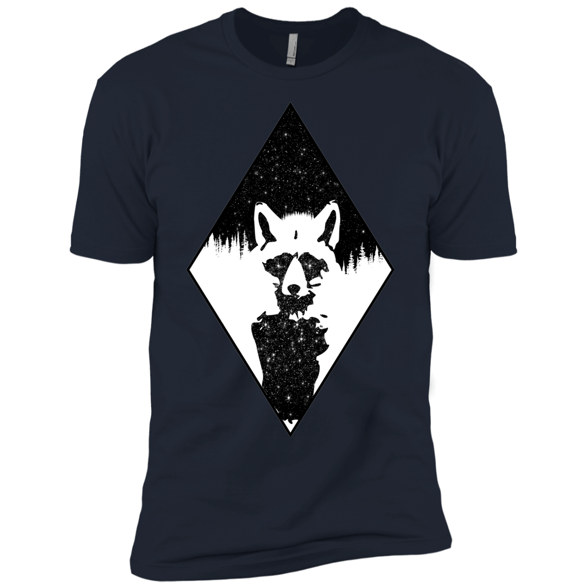 Starry Raccoon Boys Premium T-Shirt