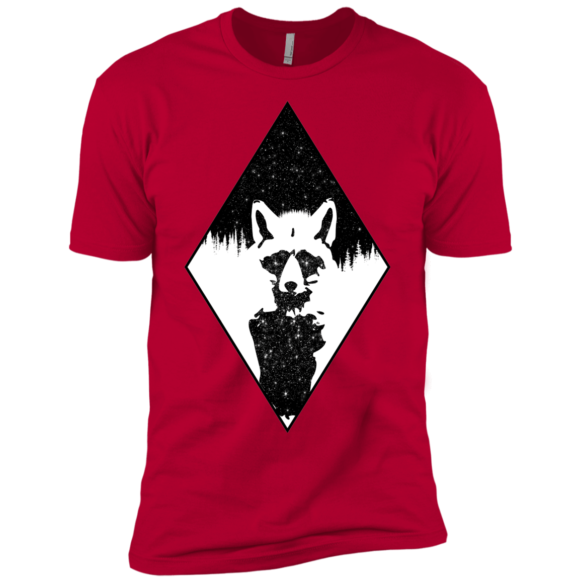 Starry Raccoon Boys Premium T-Shirt