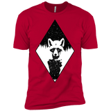 Starry Raccoon Boys Premium T-Shirt