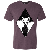 T-Shirts Vintage Purple / S Starry Raccoon Men's Triblend T-Shirt