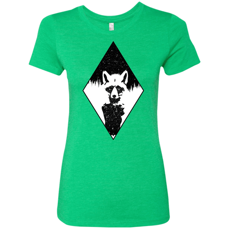 T-Shirts Envy / S Starry Raccoon Women's Triblend T-Shirt