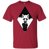 T-Shirts Cardinal / YXS Starry Raccoon Youth T-Shirt