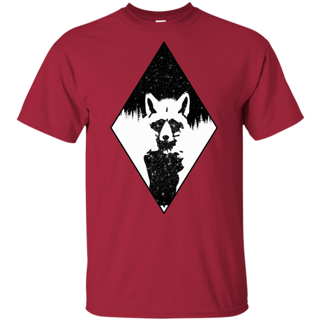 T-Shirts Cardinal / YXS Starry Raccoon Youth T-Shirt