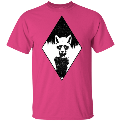 T-Shirts Heliconia / YXS Starry Raccoon Youth T-Shirt