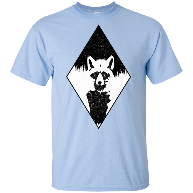 T-Shirts Light Blue / YXS Starry Raccoon Youth T-Shirt