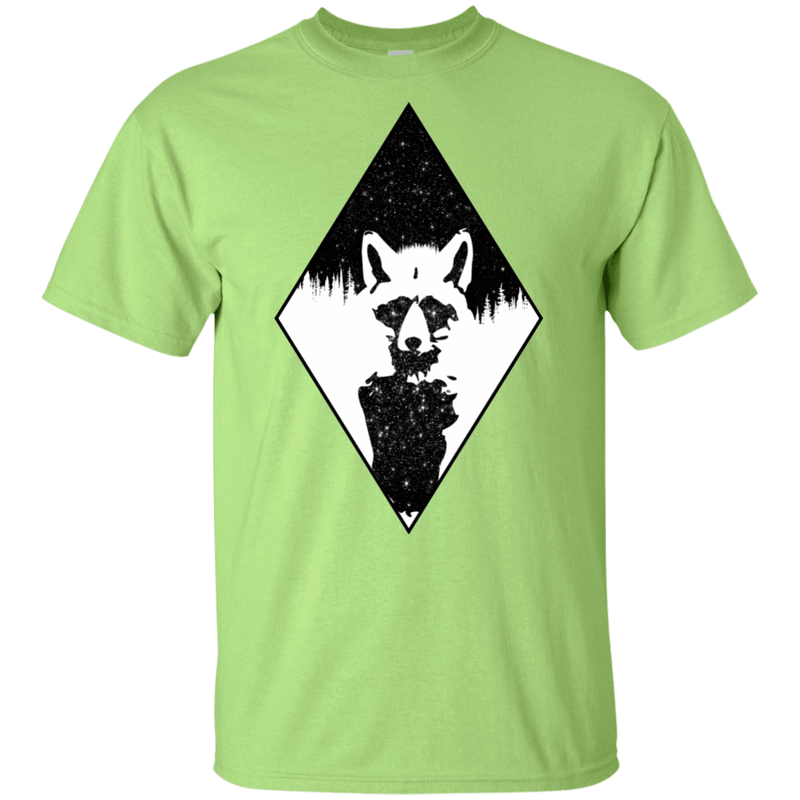 T-Shirts Mint Green / YXS Starry Raccoon Youth T-Shirt