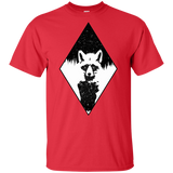 T-Shirts Red / YXS Starry Raccoon Youth T-Shirt