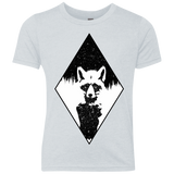 Starry Raccoon Youth Triblend T-Shirt